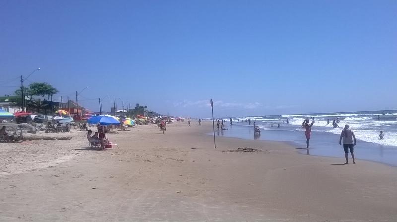Girassol