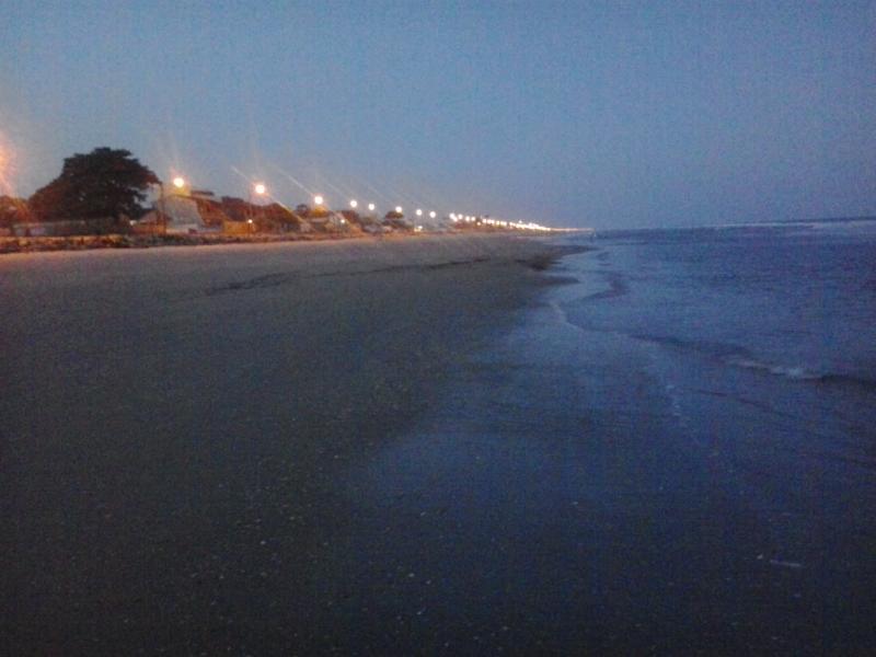 Girassol 2*